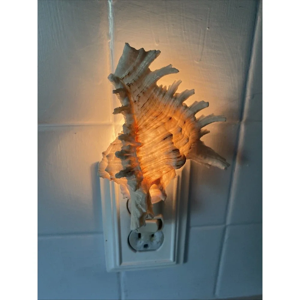 Conch Shell Night Light with Bulb 5